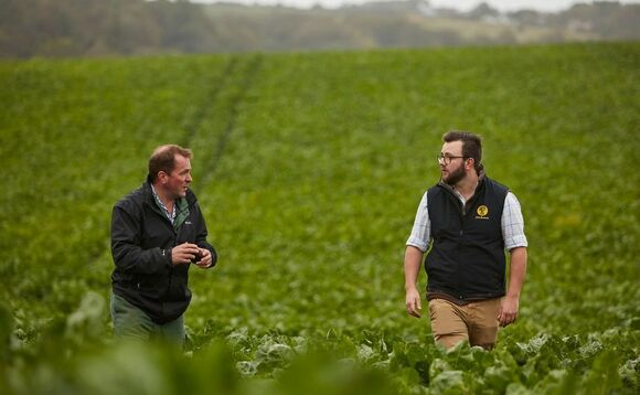 Bringing your plans for diversification to life