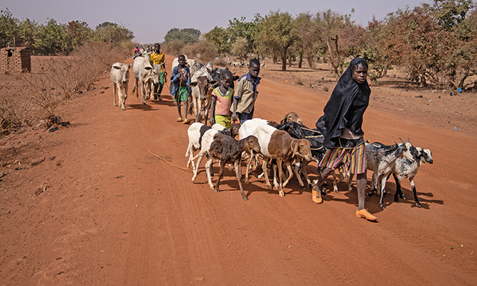 Ten killed in jihadist raid on Burkina village Ten killed in jihadist raid on Burkina village
