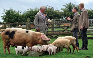 King Charles launches fund to support young farmers