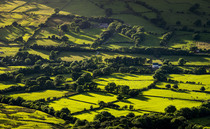 How farmers can make sure they are prepared for SFI26 Window 2