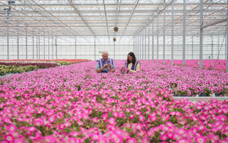 The sweet smell of circularity: Unilever turns unwanted flowers into fragrance feedstocks