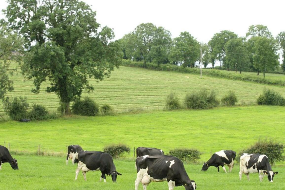 bTB- UFU threatens walkout if wildlife excluded from roadmap