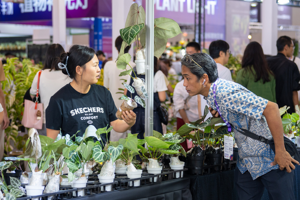 CHINA-YUNNAN-KUNMING-FLOWER EXPO (CN)