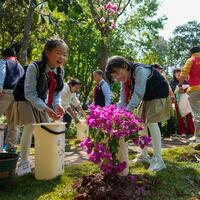 In pics: Tree planting activity is held in SW China's Kunming
