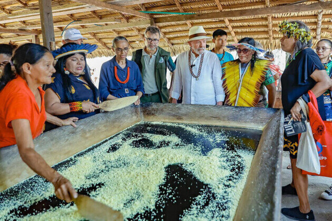 Brazil's Lula Puts Forward New Vision for Protecting the Amazon Rainforest