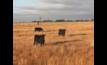  Agriculture Victoria is holding a series of online risk management courses soon.