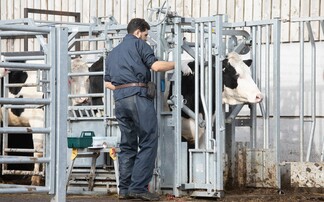 Letters: "This shows there is now more adaptability from the Government in trying to meet the evolving needs of the farming industry"