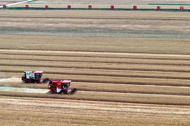 China's growing agricultural strength puts down strong roots for global food security
