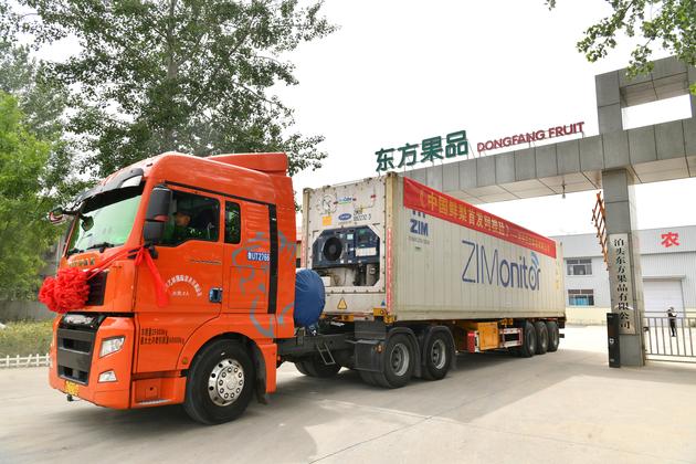 CHINA-HEBEI-FRESH PEARS-EXPORT-ARGENTINA (CN)