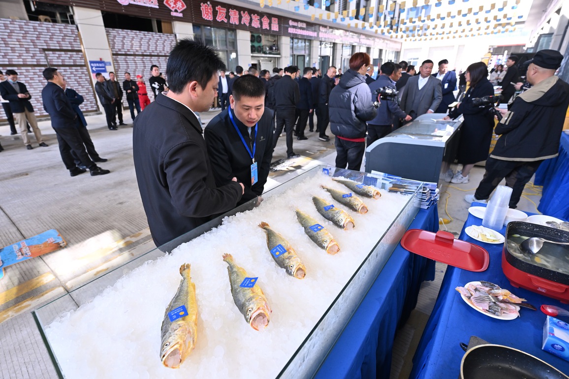 (FujianPano) CHINA-FUJIAN-NINGDE-LARGE YELLOW CROAKER INDUSTRY (CN)