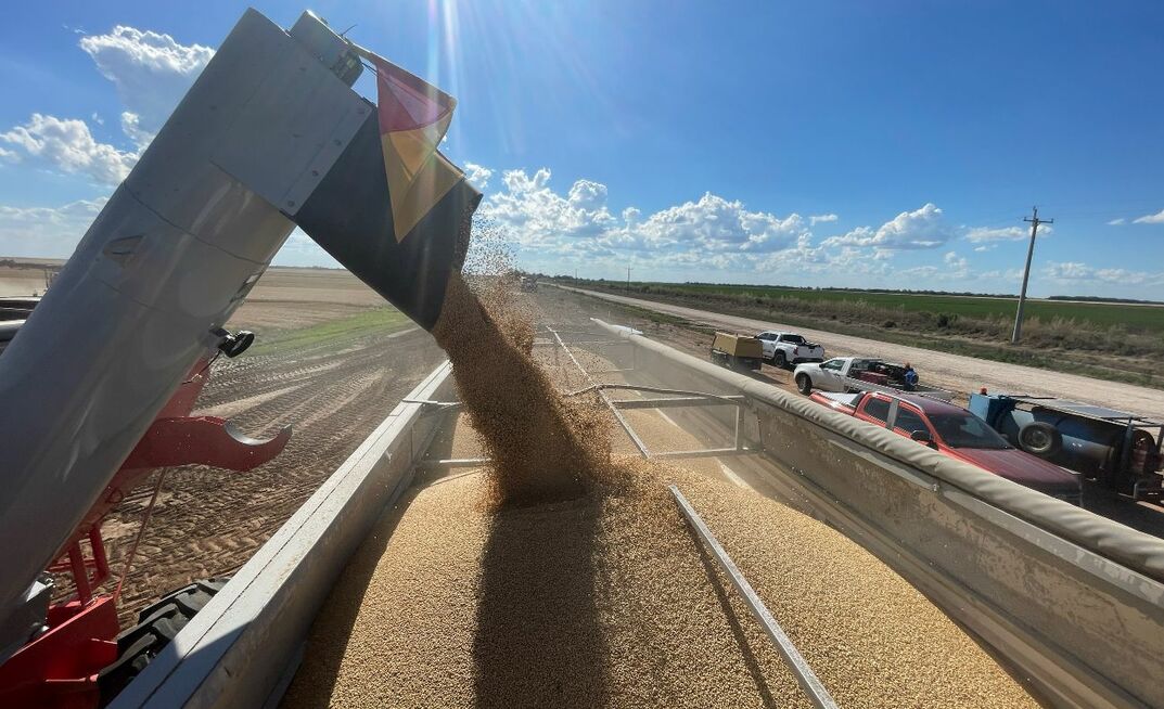 Large parts of the country are impacted by drought, so why haven't grain prices responded accordingly? 