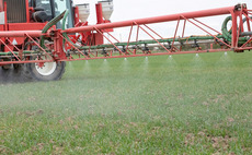 Fungicide stewardship advice updated following loss of CTL