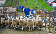 Marts report strong throughput during pandemic