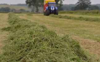 Wet winter results in challenging first cuts