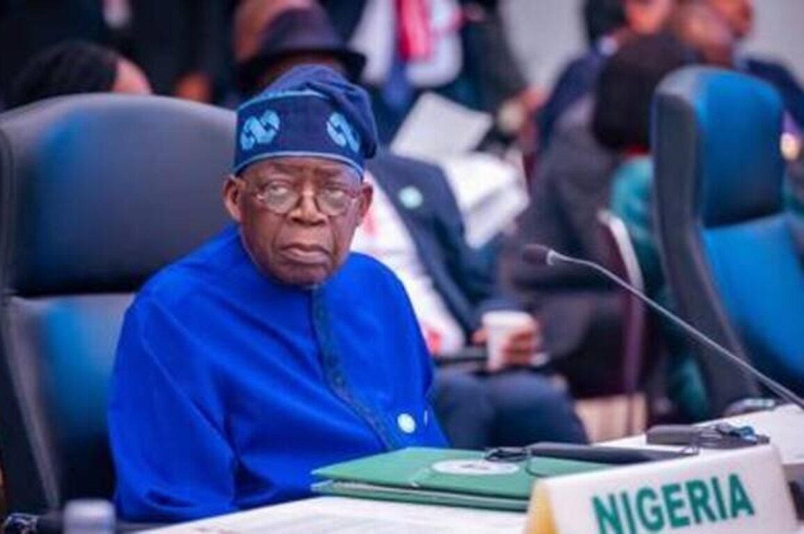 Nigerian leader postpones G20 trip after terror attacks