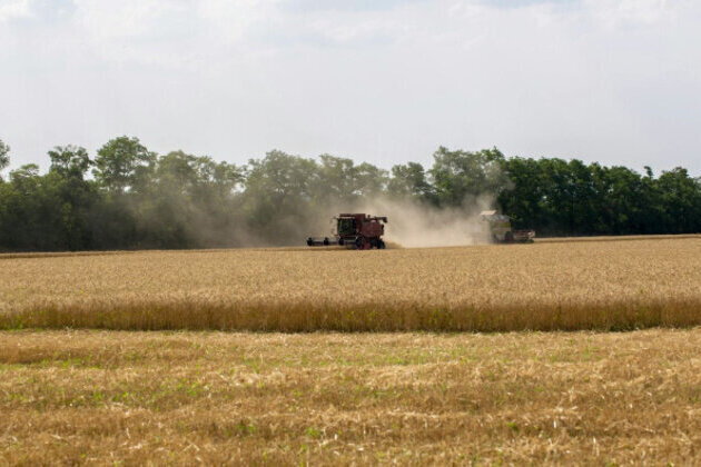 Fuel Price Surge Raises Wheat Production Costs in Bulgaria