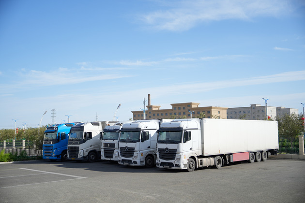 CHINA-XINJIANG-E-COMMERCE-CROSS-BORDER-TRADE (CN)