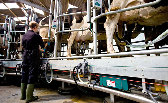 Milk production could drop by half a billion litres
