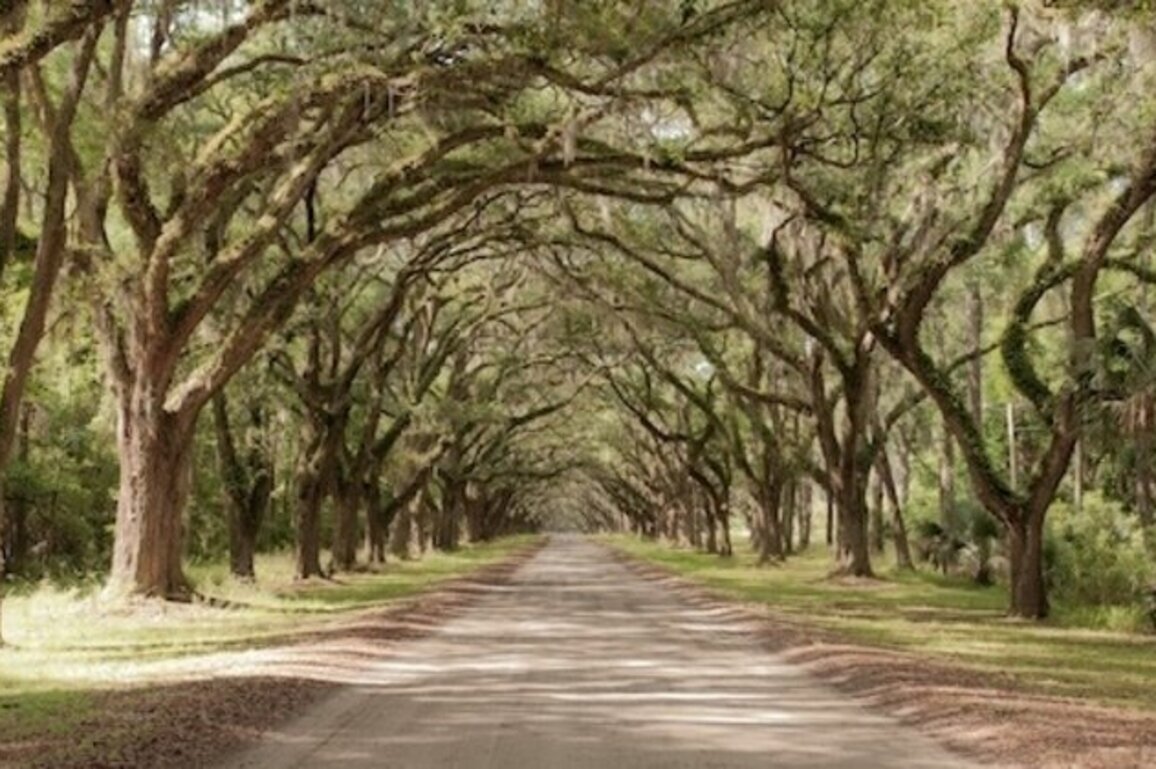 Poll: Florida rural voters gloomy on economy, open to government help 