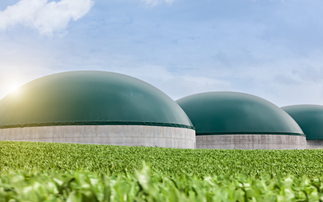 Government urged to recognise 'full net zero value' of biomethane through Emissions Trading Scheme