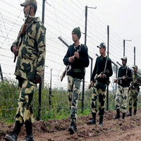 BSF's Op Sindoor heroes, cavalry, camel units, indigenous dogs to lead National Unity Day parade