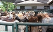 Livestock export suspended to Vietnam; ESCAS under fire