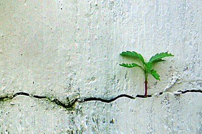 Resilience and divergence: Emerging markets are forging ahead in a new era for investors