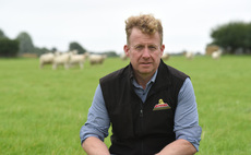 Grazing agreements basis for successful sheep venture