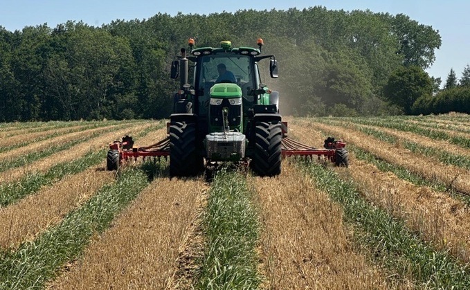Half the land, 80% of the yield: does relay cropping really stack up? The Farmers Guardian arable podcast
