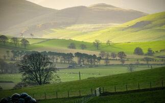 Around 75% of farmers receive stewardship support payment