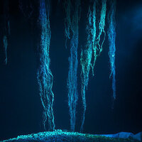 teamLab Phenomena Abu Dhabi unveils two new immersive artworks