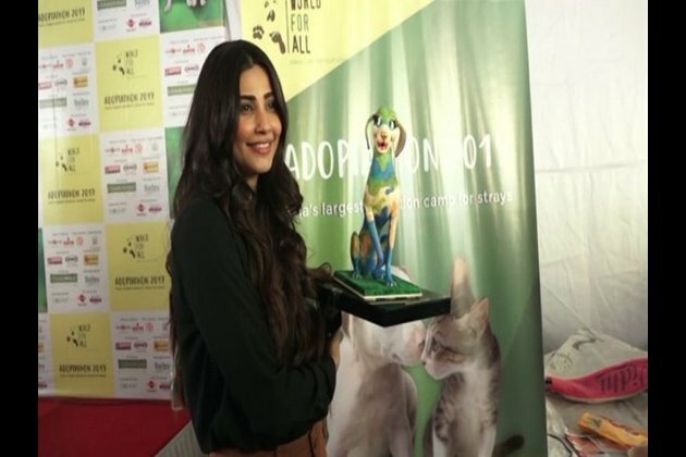 "Adopt, don't shop," says Daisy Shah during stray dog adoption fair