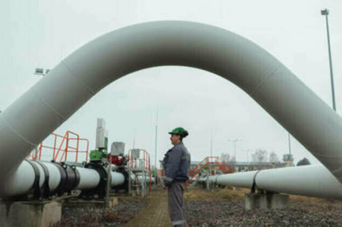Ditching Russian gas could cost EU state 16 billion - Reuters