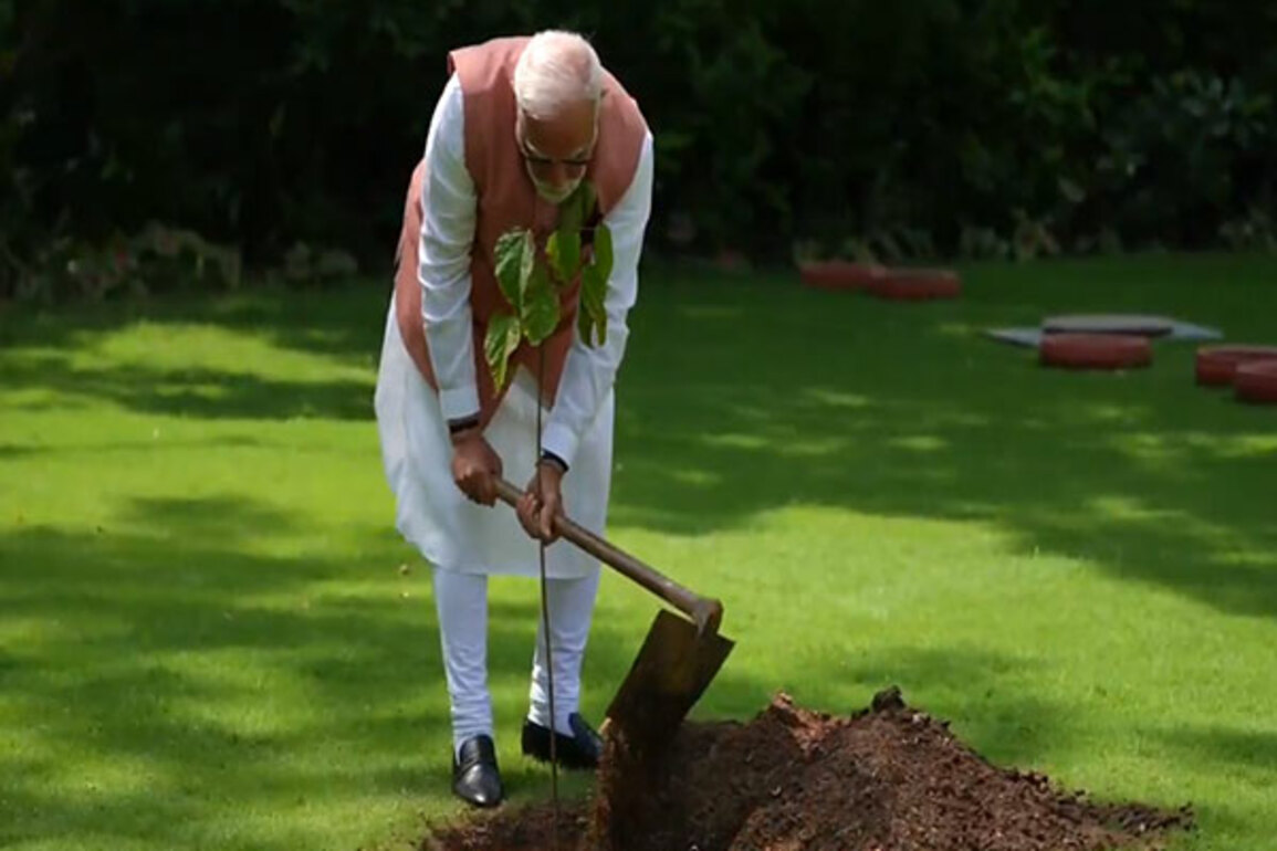 PM Modi plants 'Sindoor sapling' presented by Bhuj women of 1971 War