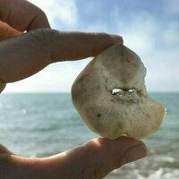 Nature writing can feed the myth of the outside as a cure - but my own work has helped me reframe my illness