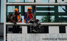 Animal Rebellion take anti-meat protest to new heights scaling Defra building