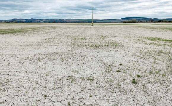 Dry weather stunts grass and crop growth