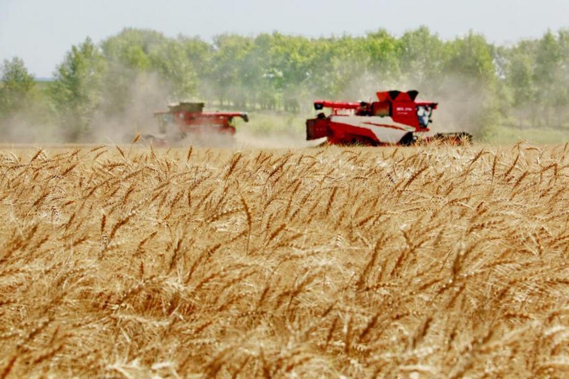 Interview: China's 15th Five-Year Plan offers opportunities for win-win cooperation, says Azeri expert
