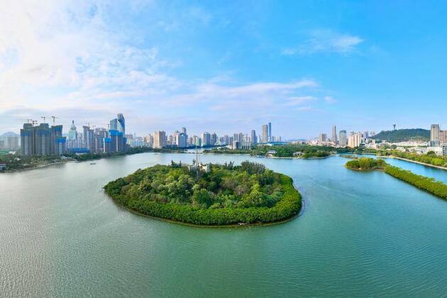 The art of planning and the rise of a Chinese coastal city