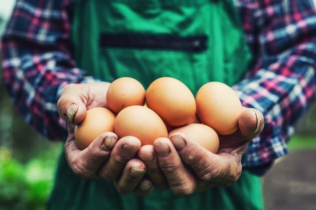 Food shortages: five ways to fix &#039;unfair&#039; supply chains