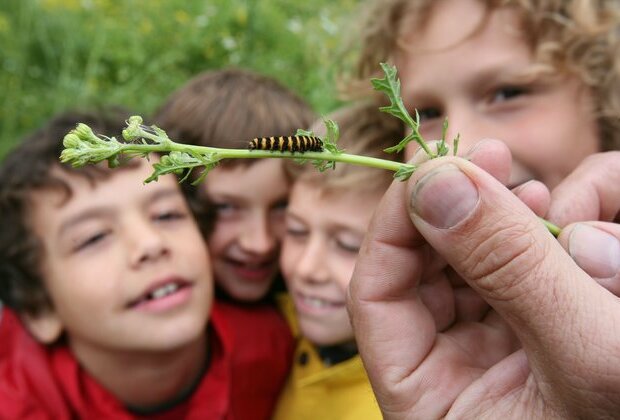 How a new GCSE in natural history can help us towards a greener future