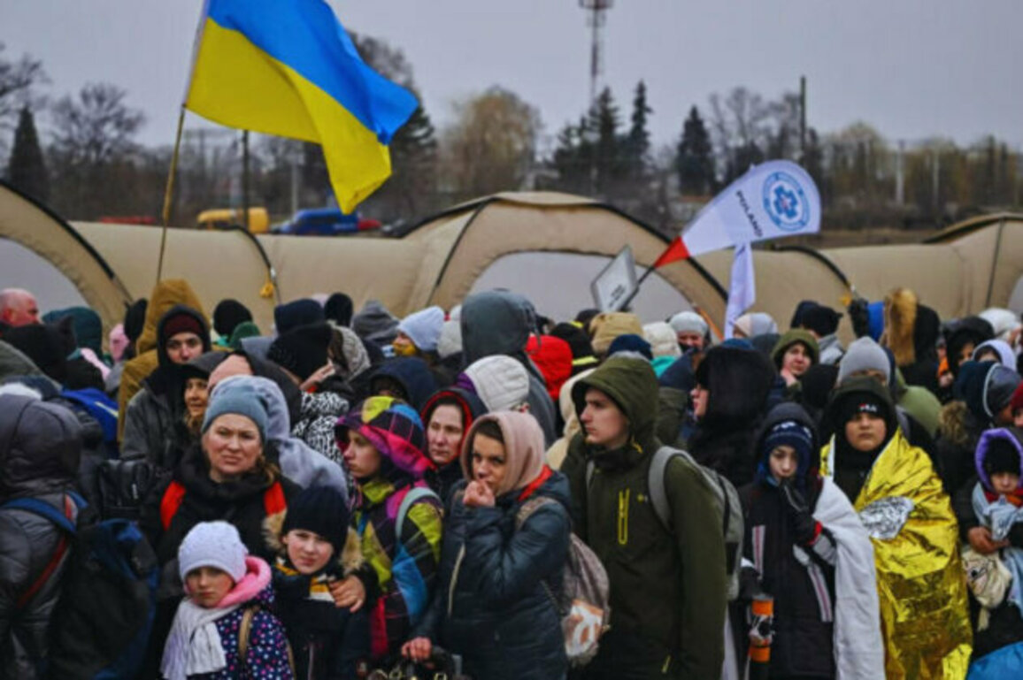 EU Lacks Unified Plan for Ukrainian Refugees in Case of Ceasefire