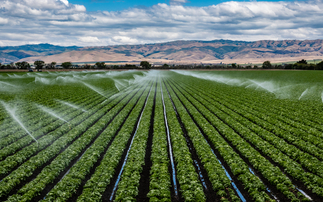 How ClimateAi is using artificial intelligence to become the 'source of truth' for weather impacts