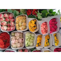 Tamil Nadu: Rose exports from Krishnagiri district surge ahead of Valentine's Day