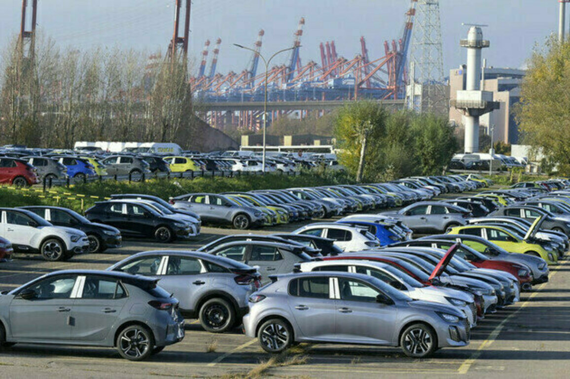 German e-mobility association files for bankruptcy  media