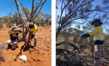 Barton’s exploration manager Marc Twining and managing director Alexander Scanlon collecting soil and plant samples.