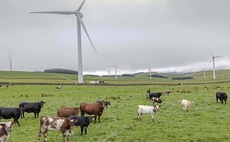 Productivity gains key to environmental progress