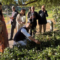 MoS Margherita plants sapling in Australia under 'Ek Ped Maa Ke Naam' initiative