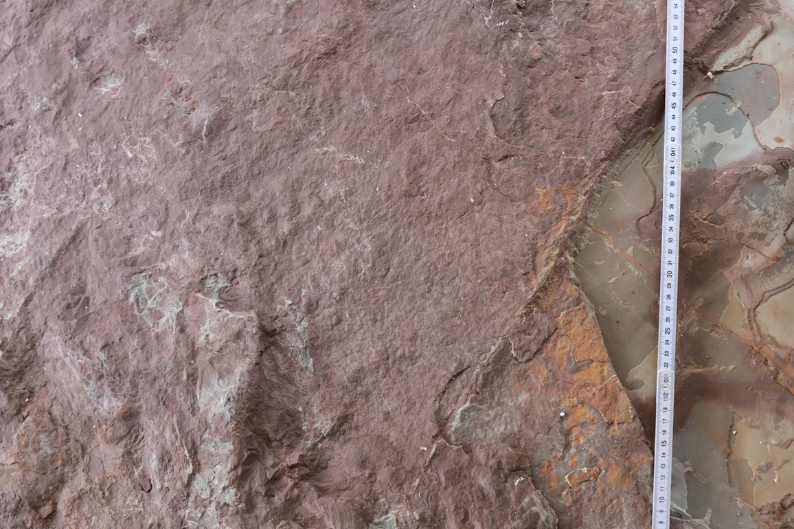 CHINA-GUANGXI-DINOSAUR FOOTPRINT-DISCOVERY (CN)