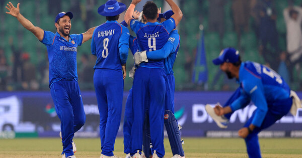 Afghanistan Cricket Board confirms batting coach Andrew Puttick's departure after end of contract